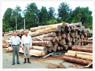 一切の中間業者を省いた「直接取引」で、国産材100％を実現！丈夫で美しい日本の木をたっぷりと使用した木造住宅を！